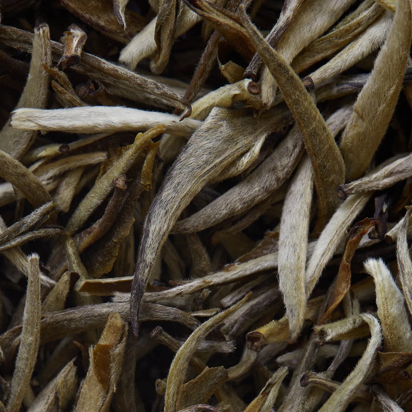 Herbata biała JASMIN IMPERIAL - 50 g