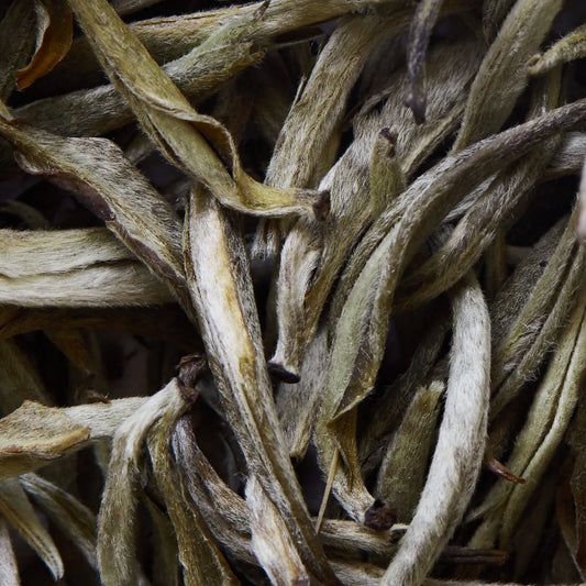Herbata biała YUNNAN YIN ZHEN - 50 g