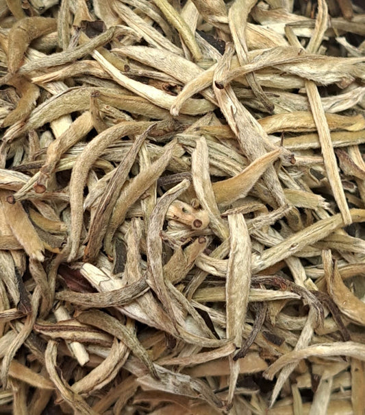 Herbata biała PAI MU TAN SILVERY NEEDLE - 50 g